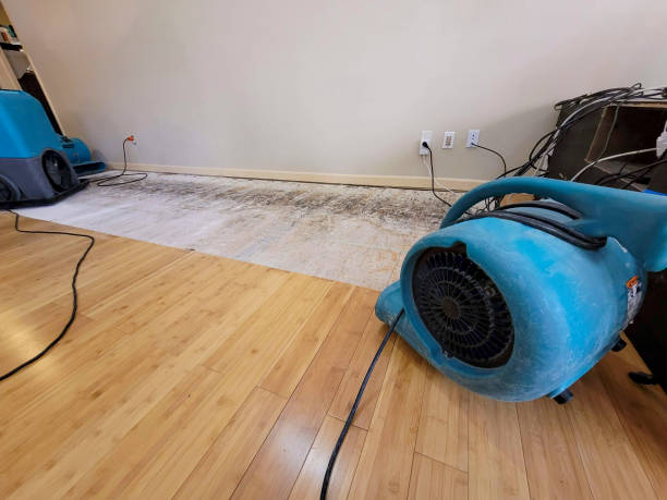 Professional Flood Damage Cleanup technician working in New Hyde Park, NY